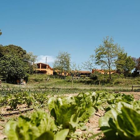 Casa Rural En El Campo Las Dalias Tordera Exteriör bild