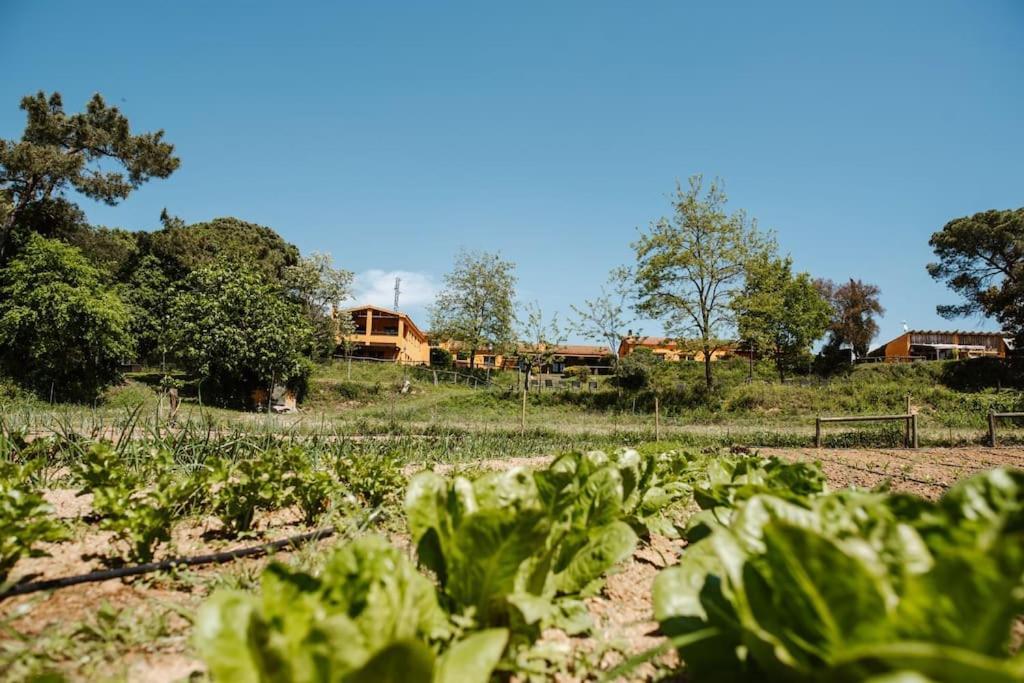 Casa Rural En El Campo Las Dalias Tordera Exteriör bild